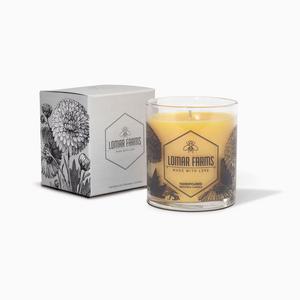 Coconut Lime Beeswax Candle Free Shipping Shop For