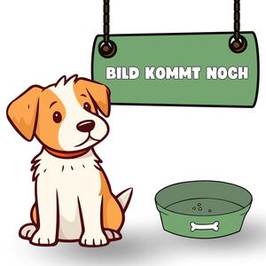 Bierhefe Tabs Sale Deals