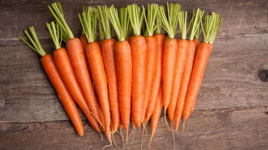 Carrot Herbal oil organic (macerated / infused in Baobab oil Sale Lowest Pice