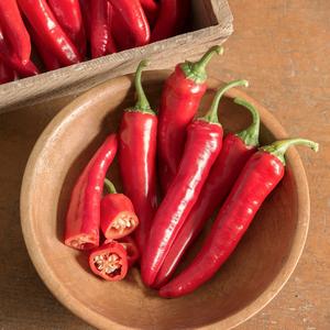 Cayenne 'Red Ember' Cheap Official