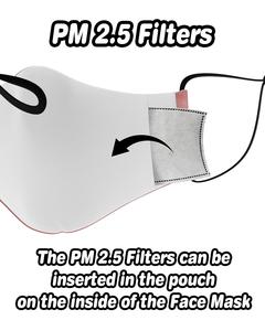 2.5 PM Filters Free Shipping Best Store To Get