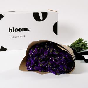 Amethyst Purple Limonium Cheap Sale Release Dates