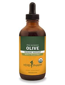 Herb Pharm Certified Organic Olive Leaf Liquid Extract for Immune System Support, 4 Fl Oz Clearance Classic