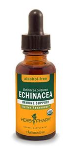 Herb Pharm Certified Organic Echinacea Root Liquid Extract for Immune System Support, Alcohol-Free Glycerite, 1 Ounce Buy Cheap New
