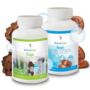 Chaga & Reishi Bundle Outlet Discount Authentic