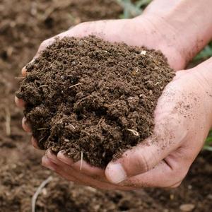 Compost - Bulk Bag Inexpensive Sale Online