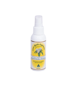 Hand & Surface Sanitizer - 100mL Wholesale Pice Cheap Online