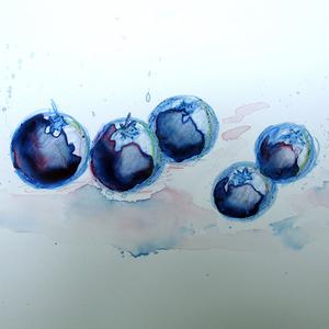 Wild Blueberry Cheap Sale Excellent