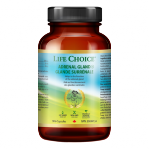 Adrenal Gland Cheap Sale Shop For