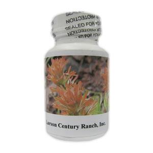 American Native Herbal Tablets - 60 tablets Buy Cheap Outlet Locations
