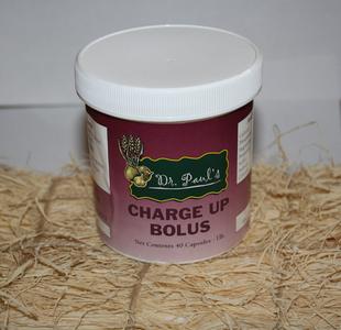 Charge-Up Bolus Visit New Sale Online