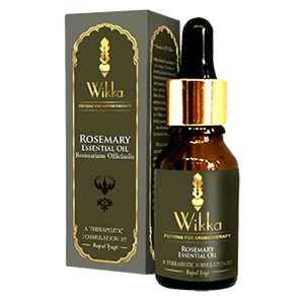 Rosemary Essential Oil Free Shipping Fashion Style