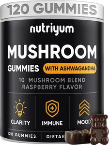 nutriyum Mushroom Gummies 10 Blend - Lions Mane Ashwagandha Turkey Tail Cordyceps Chaga Reishi Mushroom Complex - 120 pcs - NMG-V-1 Supply Online