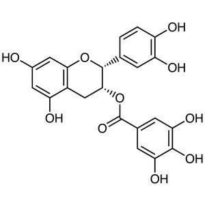 (-)-Epicatechin Gallate, 100MG - E0890-100MG Free Shipping Purchase