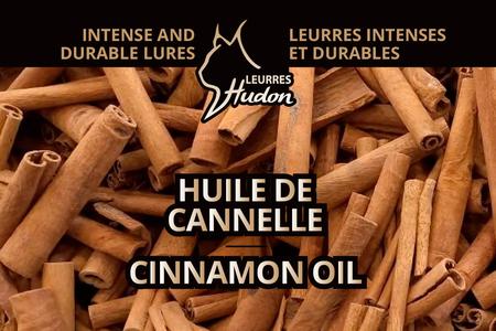 Huile de cannelle Official Site Sale Online