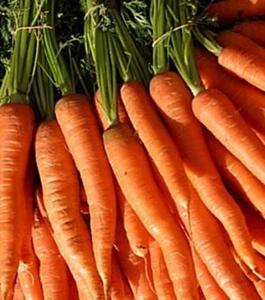 Carrot - Little Fingers Deals Cheap Online