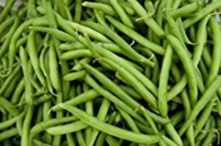 Bean - Tenderette Sale 100% Authentic
