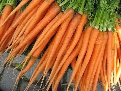 Carrot - Imperator Discount Supply