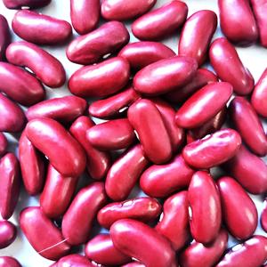 Bean - Canadian Wonder Free Shipping Best Pices