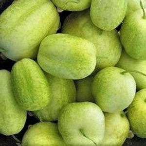 Cucumber - Crystal Apple Fashionable Online