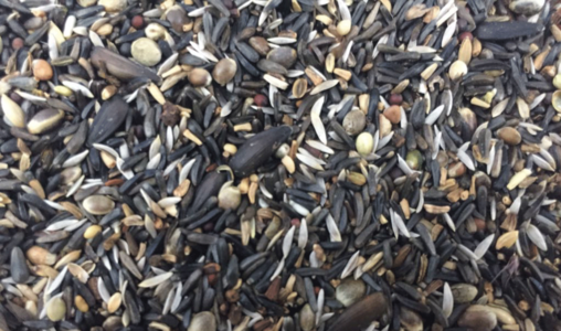 Elevage- Germination mix 3lbs Cheap Sale Now