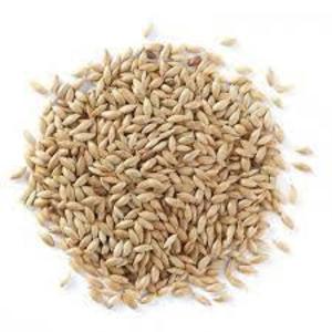 Canary seeds plain 40lbs Outlet New Arrival