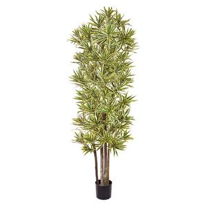 Dracaena Fire Retardant Tree 180cm Manchester