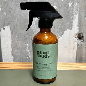Leaf Shine & Protect Cheap Sale Sast