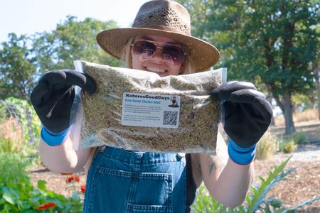 Free Range Chicken Seed Sale Professional