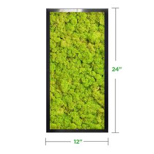 12" x 24" Moss Wall Art Panel Kit Free Shipping Sale Online