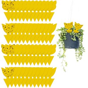 48 Pack Yellow Sticky Traps Gnat Trap, Sticky Trap Gnat Killer Indoor, Fruit Fly Traps Fungus Gnat Trap Insects Flies House Plant Trap Bug Sticky Traps for House Indoor Wiki Cheap Online