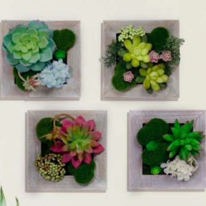 Alpine Succulent Wooden Frame Wall Hanging Clearance Wholesale Pice