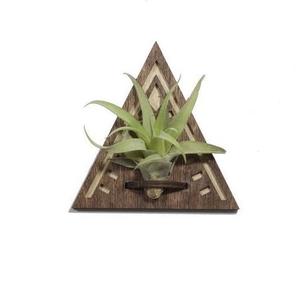 Air Plant Magnet Free Shipping Factory Outlet