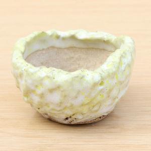 (B3) Bonsai Accent Pot Wiki Cheap Pice