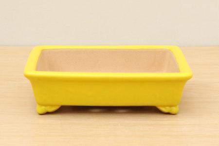 (B) High-quality Glazed Rectangular Bonsai Pot - 6" Yellow Clearance Amazon