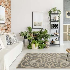 Alpha Outdoor Rug Grey Cheap Sale Outlet