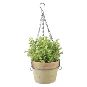 Aged Terracotta pot hangend L Cheap Sale Inexpensive