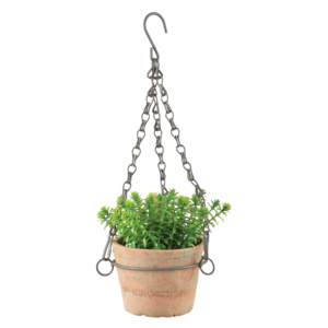 Aged Terracotta pot hangend S The Cheapest