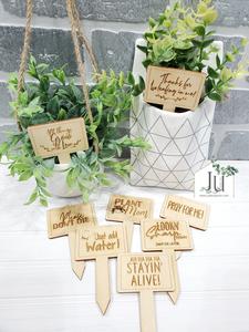 Wood Plant Stake Signs Cheap Sale Best Wholesale