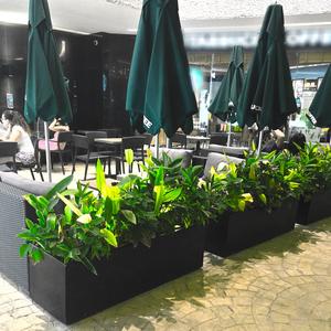 RECTANGULAR PLANTER Discount Ebay