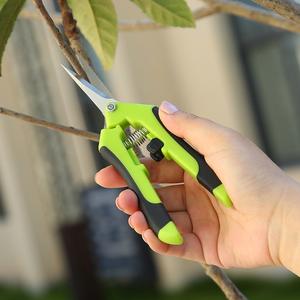 Fruit Picking Pruner Free Shipping Visit