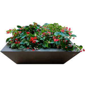 SMOOTH CONICAL BOWL PLANTER Free Shipping Geniue Stockist