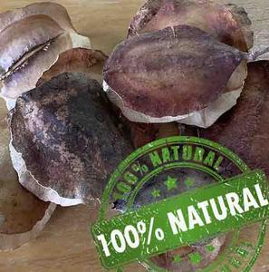 Nuez de Jacaranda - 1lb Outlet With Paypal Order