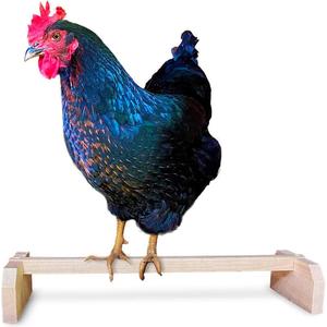 Chicken Perch Roosting Bar Supply Cheap Pice