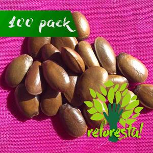 Semilla de Guanbana (Annona muricata) - paquete con 100 piezas Extremely Cheap Online