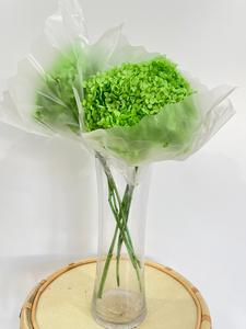 Annabelle Hydrangea Bright Green Cheap Pice Original