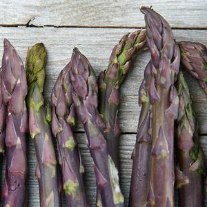 Asparagus-'Purple Passion' Buy Cheap Cheap