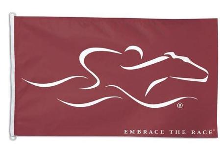 Signature EMBRACE THE RACE Horse Racing Flag New Styles Cheap Pice