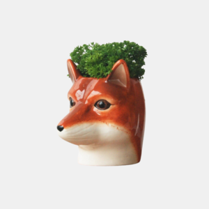 Ceramic Planter - Fox Buy Cheap Best Pices