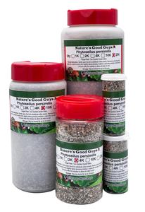 5,000 Live Adult Predatory Mites - P. persimilis - Spider Mite Control - Ships Next Business Day! Buy Cheap Manchester